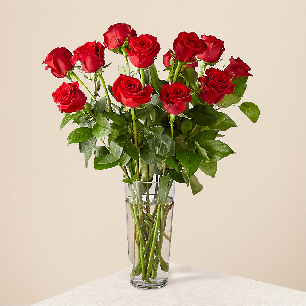 Long Stem Red Rose Bouquet –  Village Flower Company, Prairie Village KS
