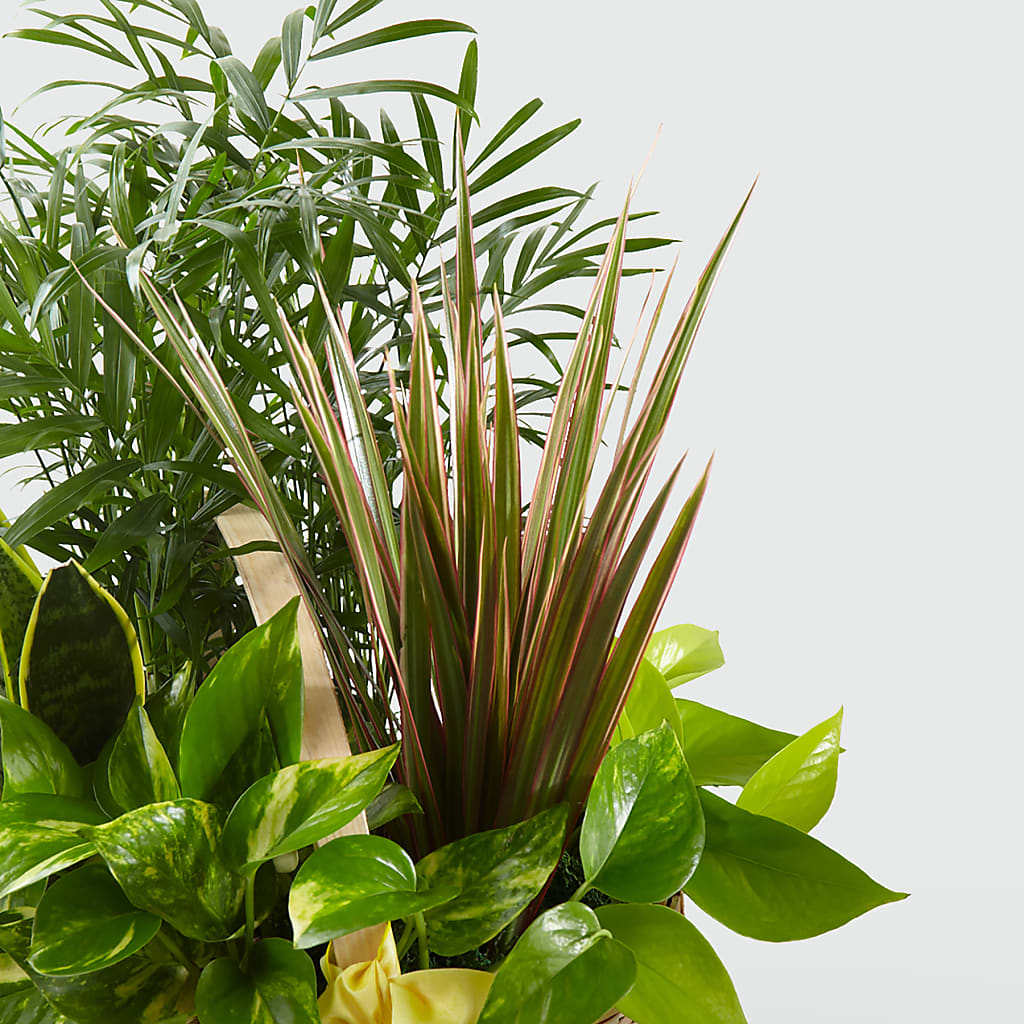 French Garden –  Village Flower Company, Prairie Village KS
