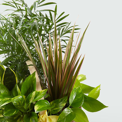 French Garden –  Village Flower Company, Prairie Village KS