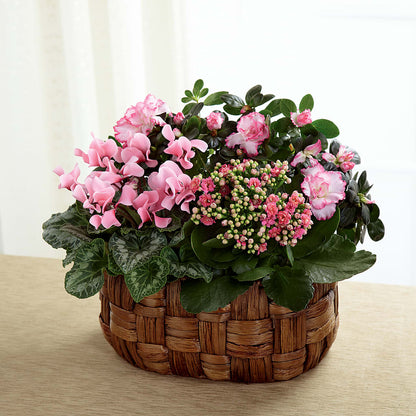 Pink Assortment –  Village Flower Company, Prairie Village KS