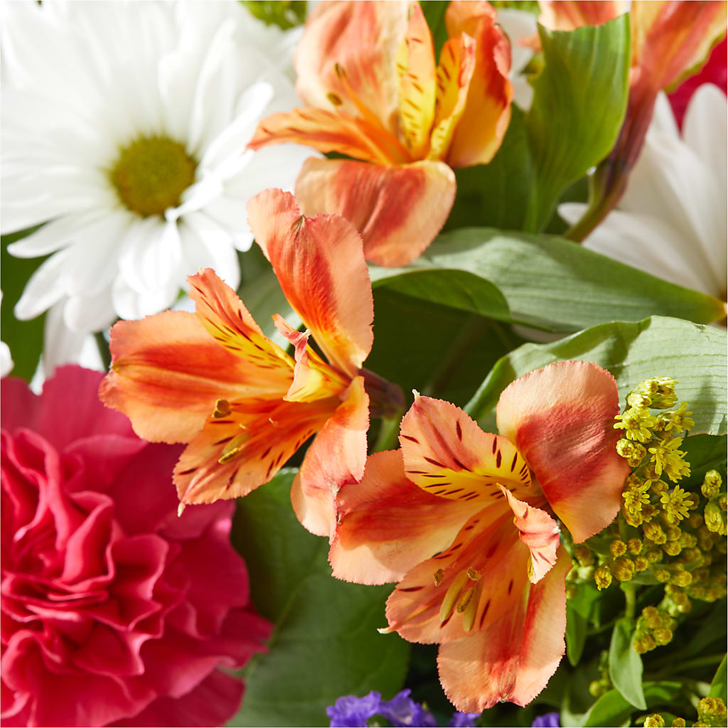 Oopsie Daisy Box Bouquet –  Village Flower Company, Prairie Village KS