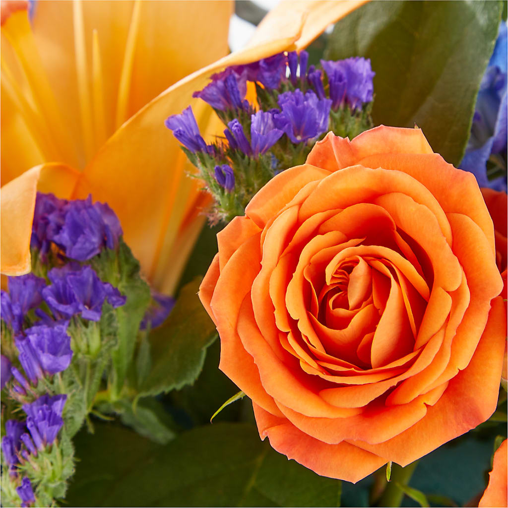 Radiant Citrus Box Bouquet –  Village Flower Company, Prairie Village KS