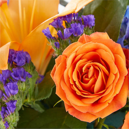 Radiant Citrus Box Bouquet –  Village Flower Company, Prairie Village KS