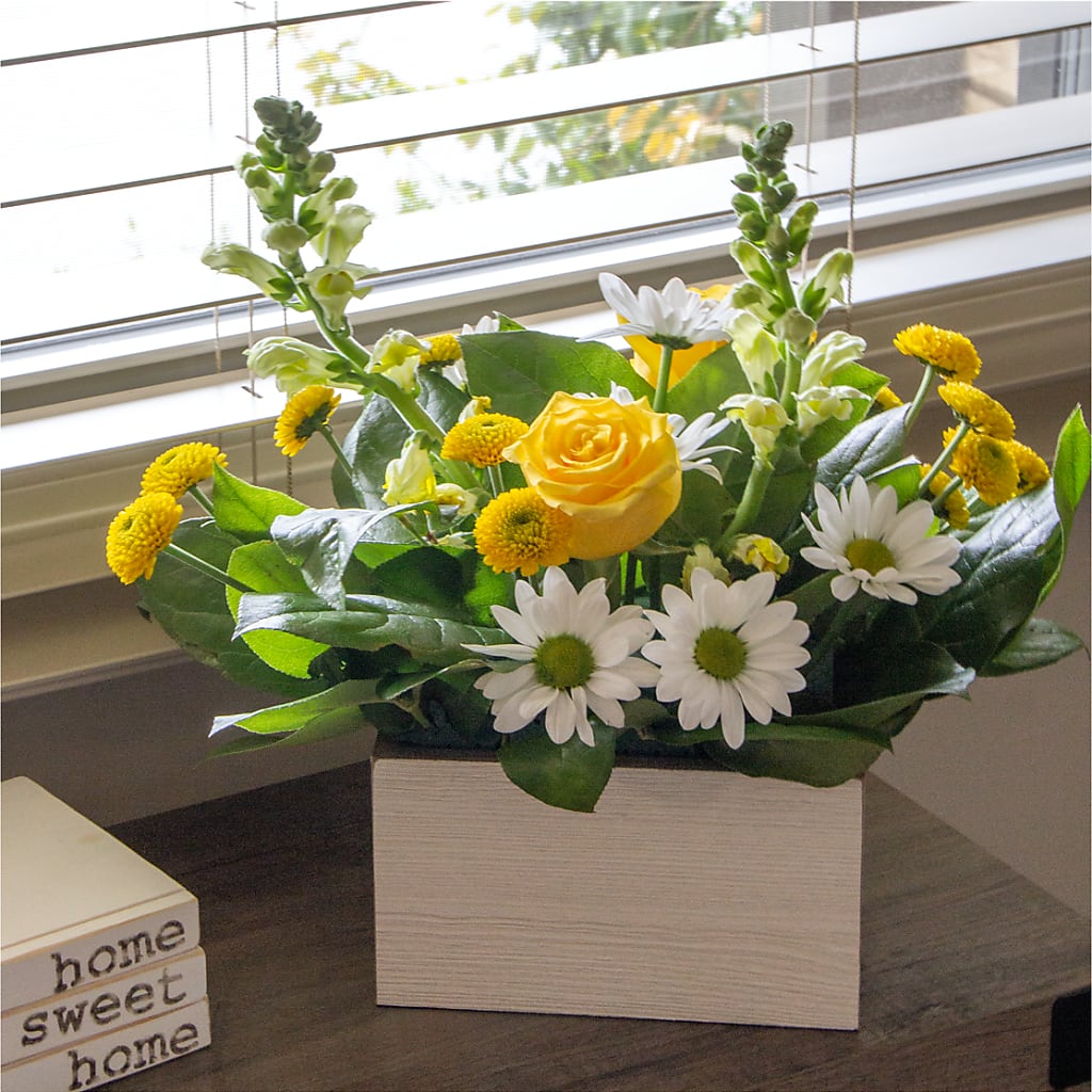 Sun Salutation Box Bouquet –  Village Flower Company, Prairie Village KS
