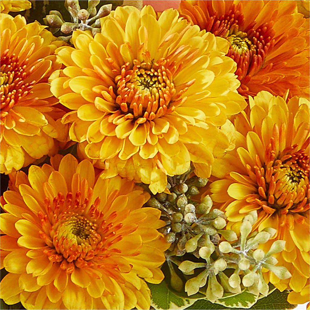 Peachy Pumpkin –  Village Flower Company, Prairie Village KS