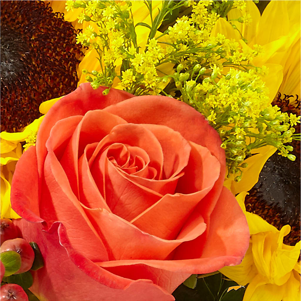 Pick of the Patch Pumpkin Bouquet –  Village Flower Company, Prairie Village KS