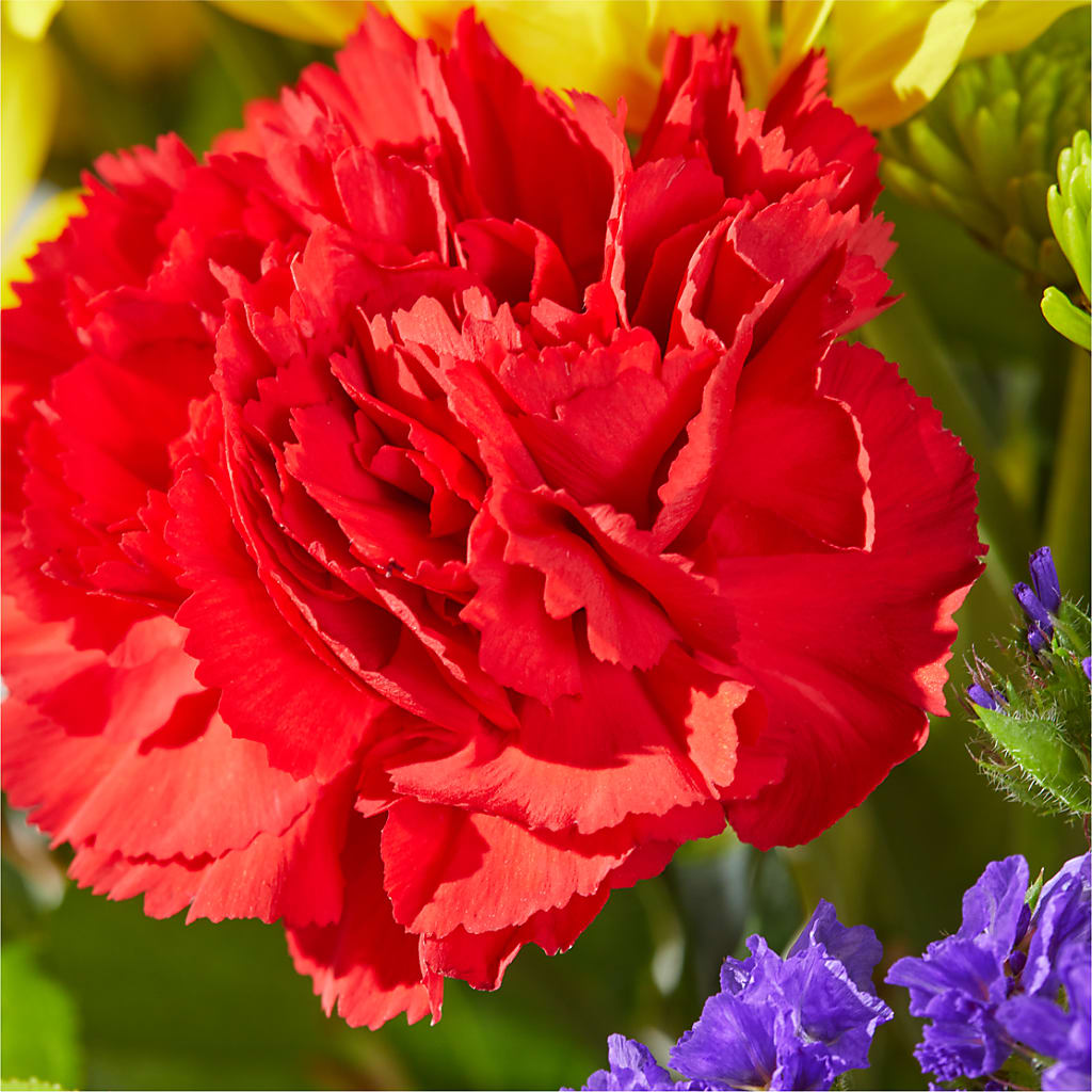 Brighter Days Bouquet –  Village Flower Company, Prairie Village KS