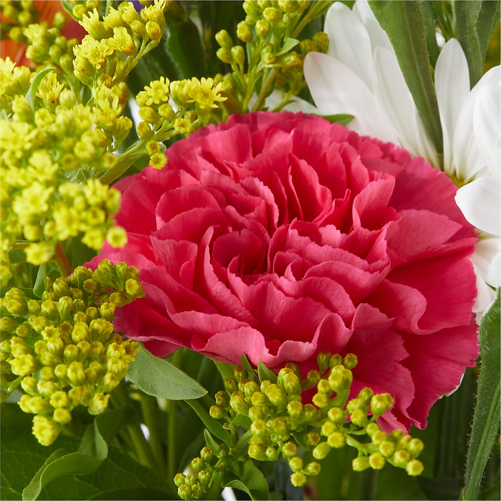 Oopsie Daisy Bouquet –  Village Flower Company, Prairie Village KS