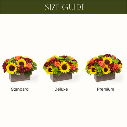 Happy Harvest Garden –  Village Flower Company, Prairie Village KS