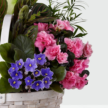 Peaceful Garden Planter –  Village Flower Company, Prairie Village KS
