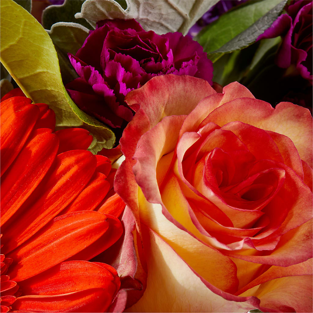 Sangria Bouquet –  Village Flower Company, Prairie Village KS