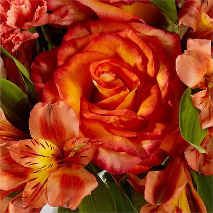 Apricot Glow Bouquet –  Village Flower Company, Prairie Village KS