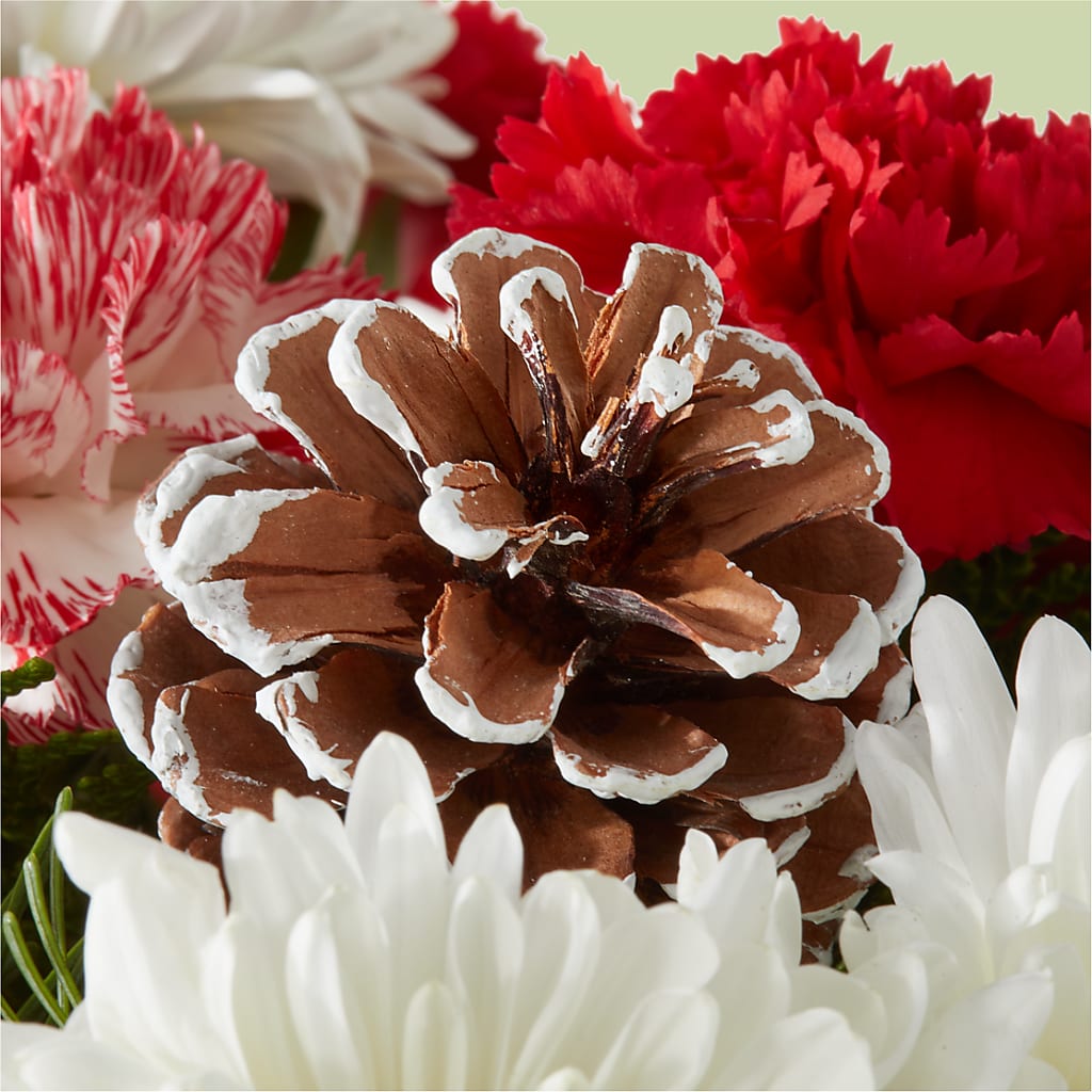 Candy Cane Lane Bouquet –  Village Flower Company, Prairie Village KS