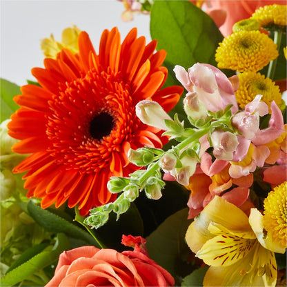 Autumn Sunshine Bouquet –  Village Flower Company, Prairie Village KS