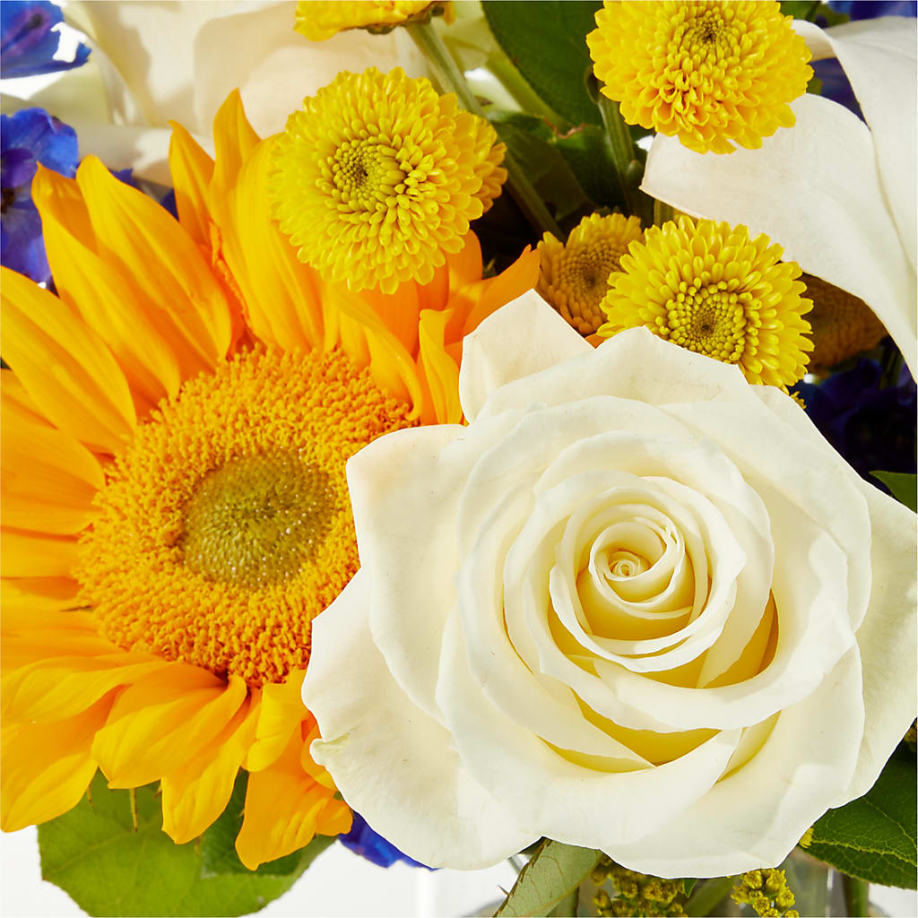 Stargazing Bouquet –  Village Flower Company, Prairie Village KS