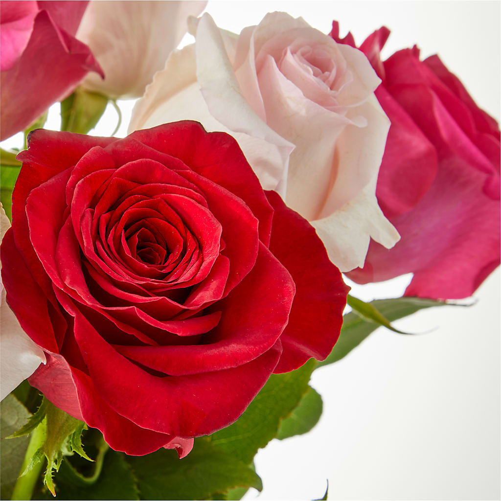 Charming Rose Bouquet –  Village Flower Company, Prairie Village KS