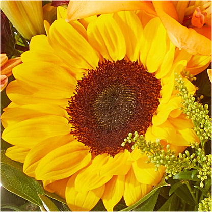 Seasons Change Bouquet –  Village Flower Company, Prairie Village KS