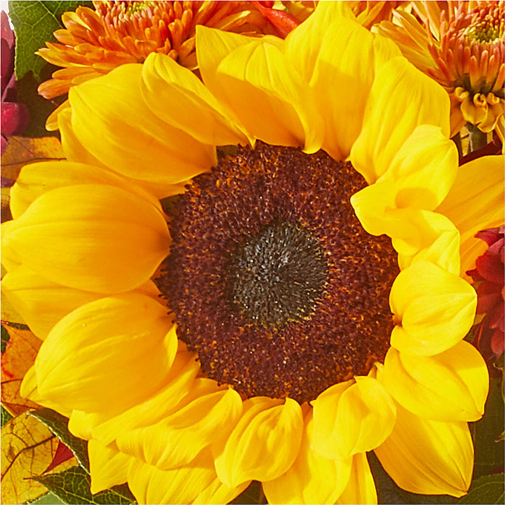 Sunny Side Bouquet –  Village Flower Company, Prairie Village KS