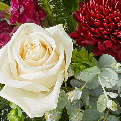 Cranberry Fizz Bouquet –  Village Flower Company, Prairie Village KS