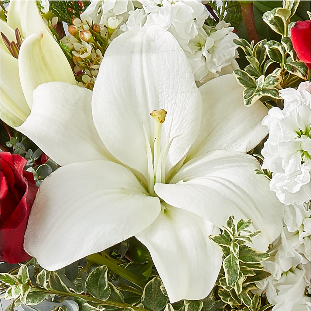 Twinkle Lights Bouquet –  Village Flower Company, Prairie Village KS