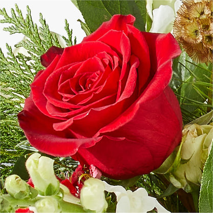 Deck the Halls Bouquet –  Village Flower Company, Prairie Village KS