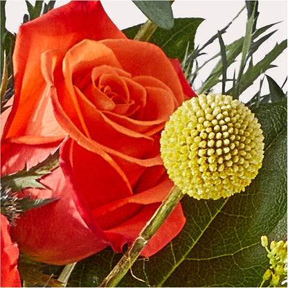 Disco Bouquet –  Village Flower Company, Prairie Village KS