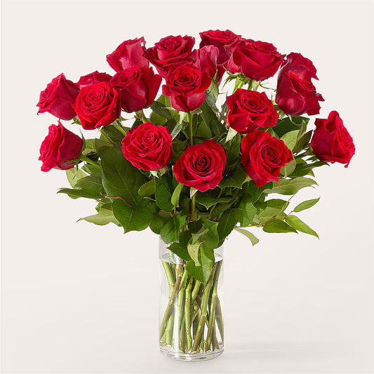 The One Red Rose Bouquet –  Village Flower Company, Prairie Village KS